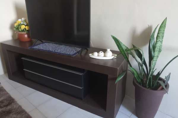 33 sala com vaso de plantas